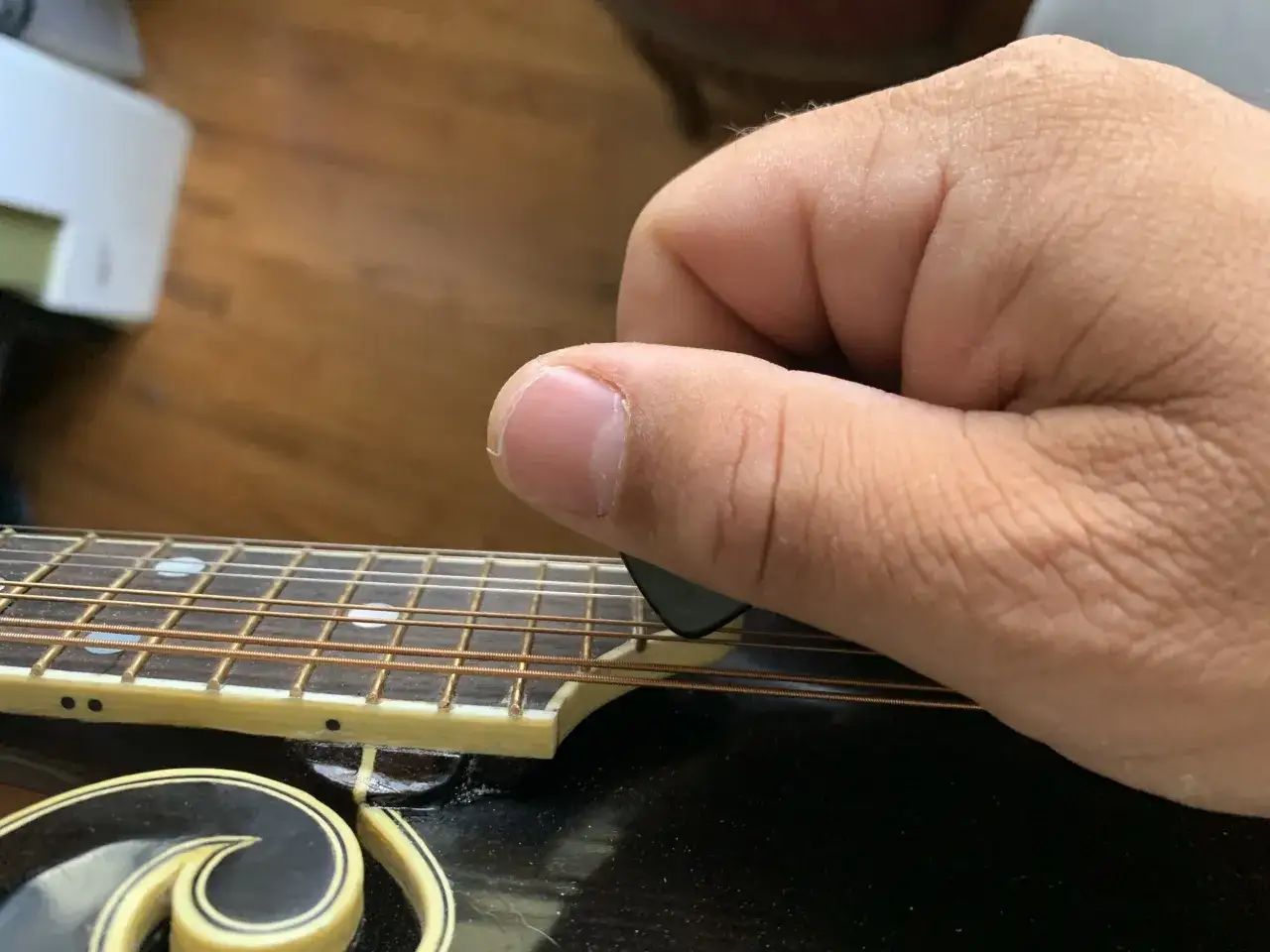 Nahaufnahme einer Hand, die mit einem Plektrum &uuml;ber die Saiten einer Mandoline streicht. Eine Mandoline hat typischerweise acht Saiten.