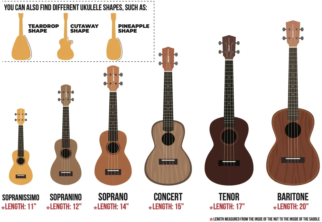 Verschiedene Ukulelen-Gr&ouml;&szlig;en: Sopranissimo, Sopranino, Soprano, Concert, Tenor, Bariton. Die kleine Gitarre hat den Namen Sopranissimo.